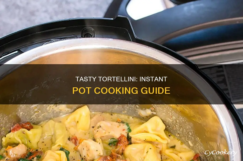 how to cook totelinni intant pot
