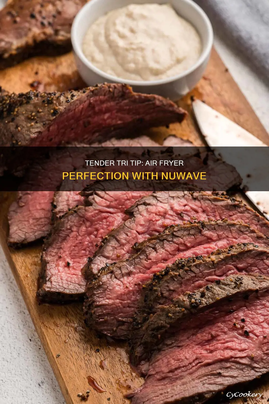 how to cook tri tip steak in nuwave air fryer