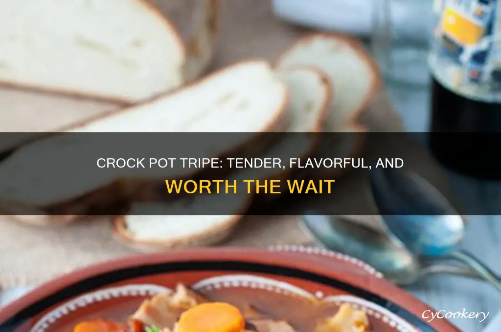 how to cook tripe in a crock pot