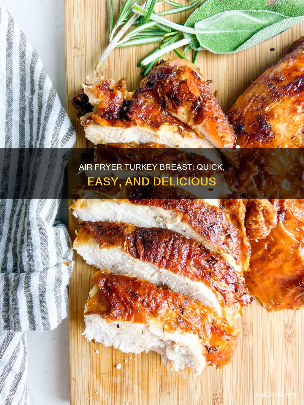 how to cook turkey breast in a power air fryer