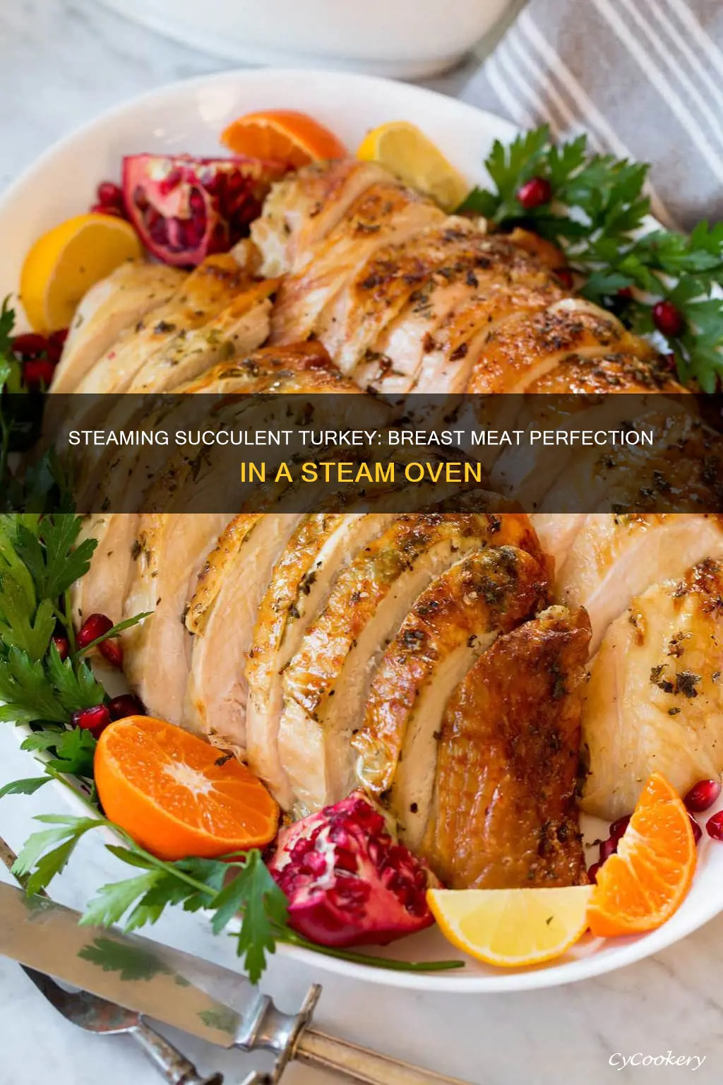 how to cook turkey breast in steam oven