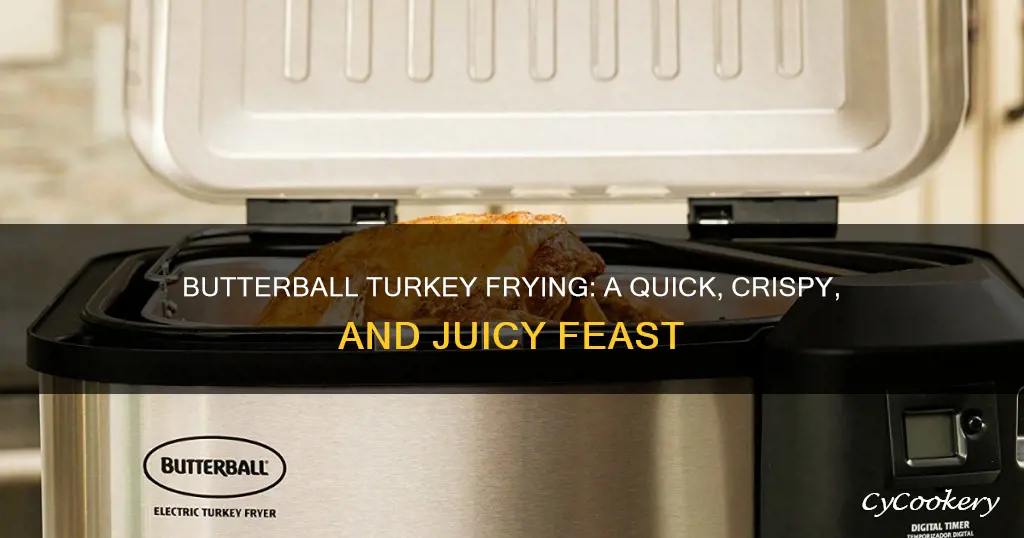 how to cook turkey butterball fryer