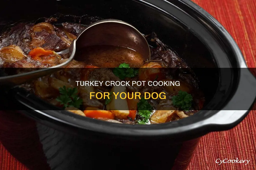 how to cook turkey for dogs in a crock pot