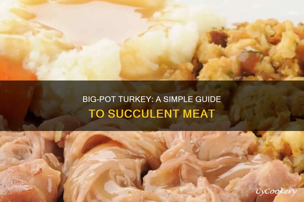how to cook turkey in a big pot