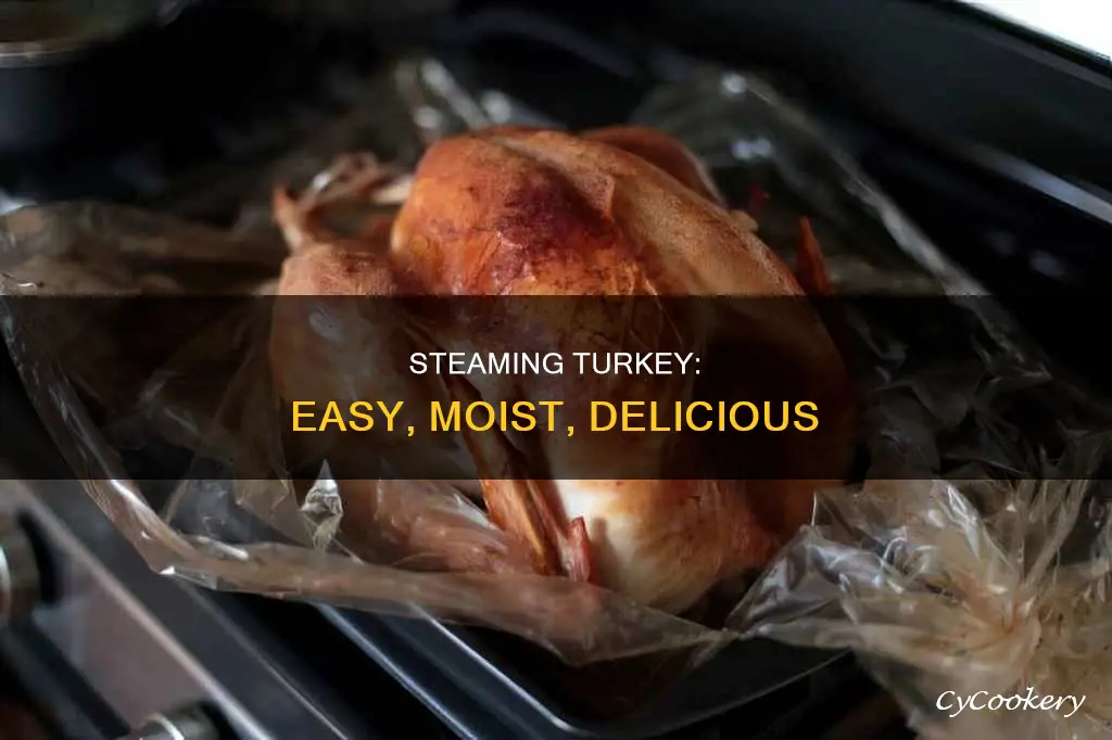 how to cook turkey in a steam bag