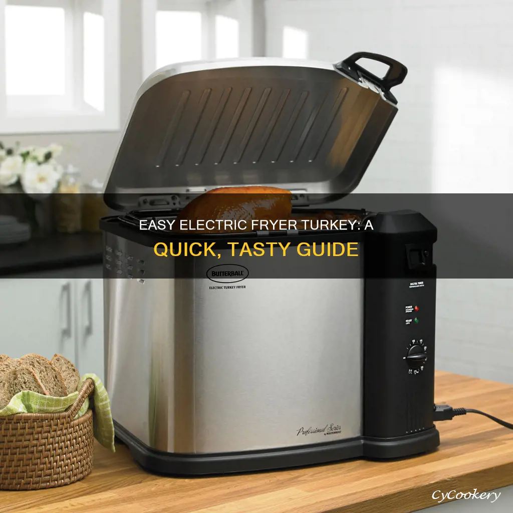 how to cook turkey in electric fryer