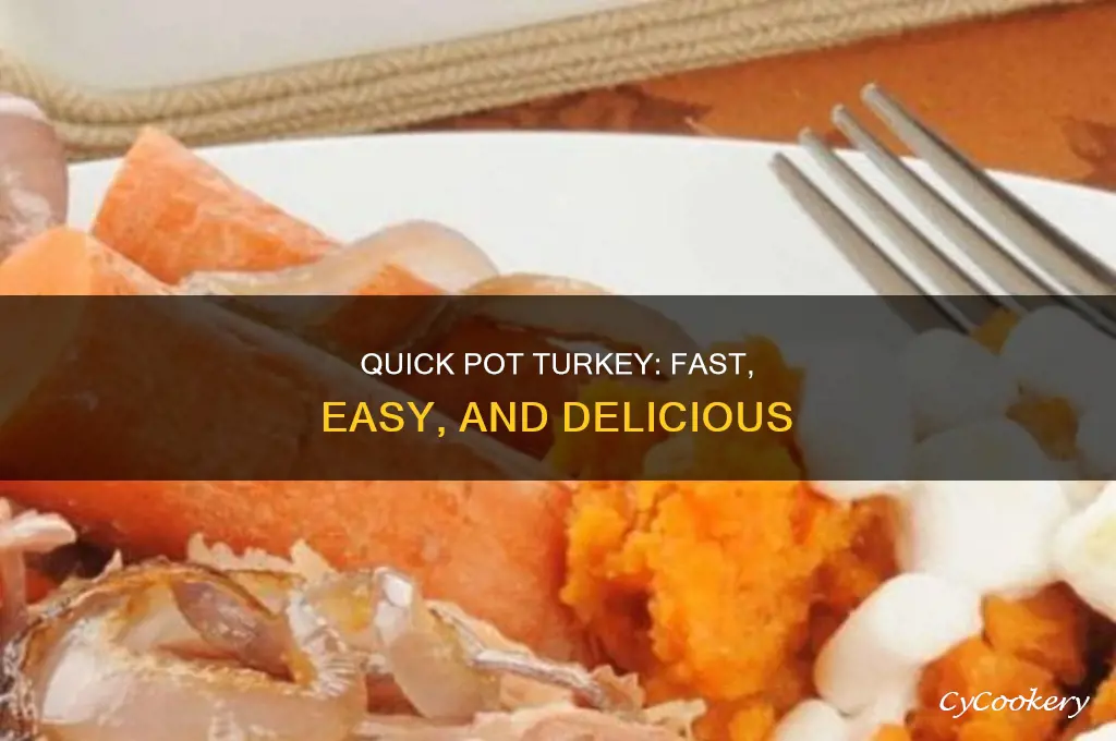 how to cook turkey in the quick pot