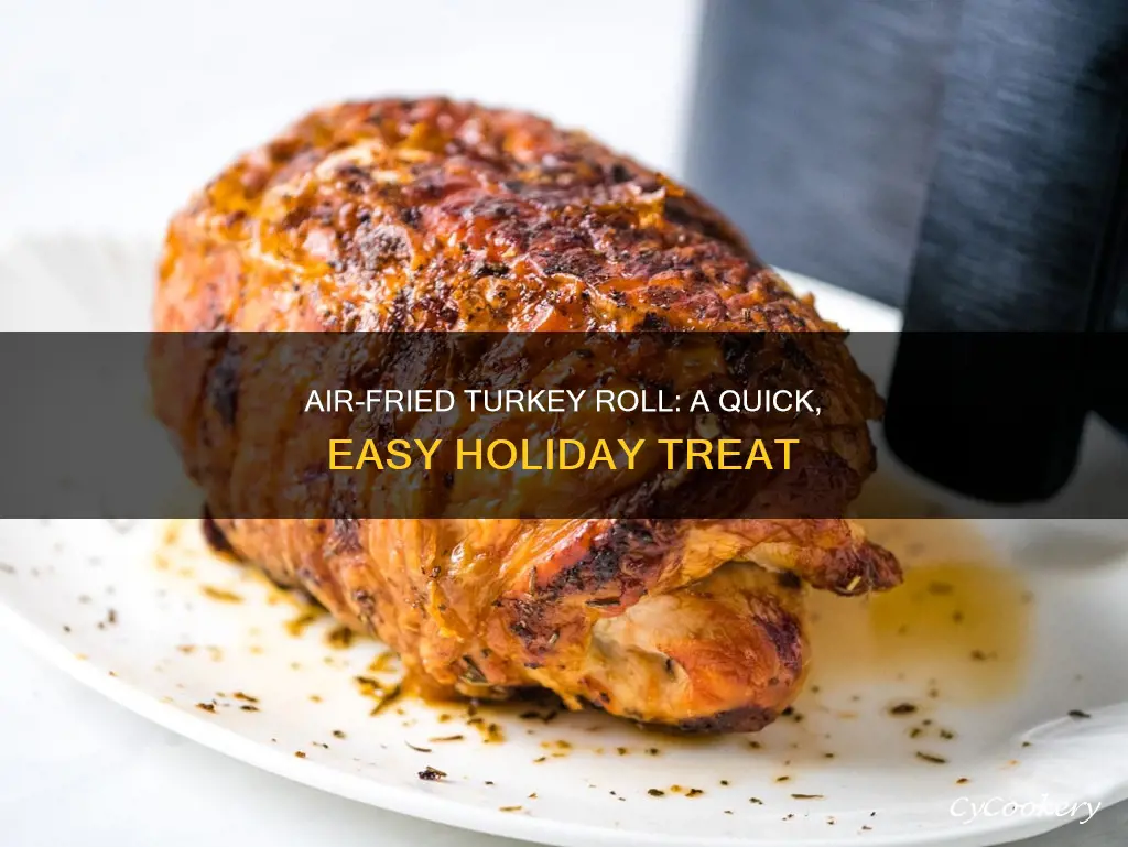 how to cook turkey roll in air fryer