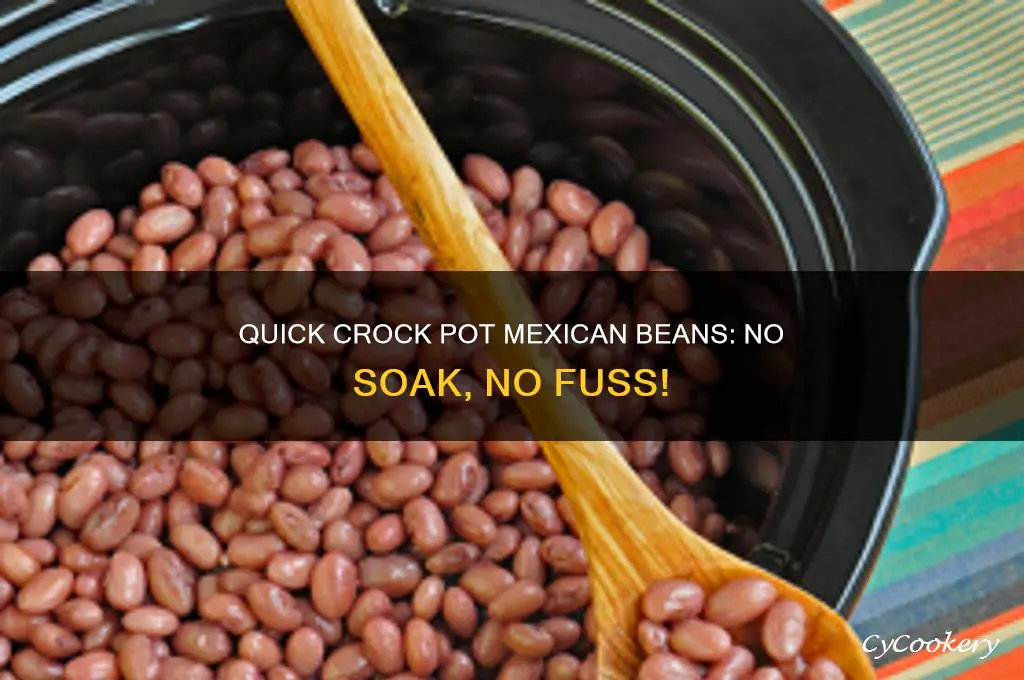 how to cook unsoaked mexican beans in a crock pot