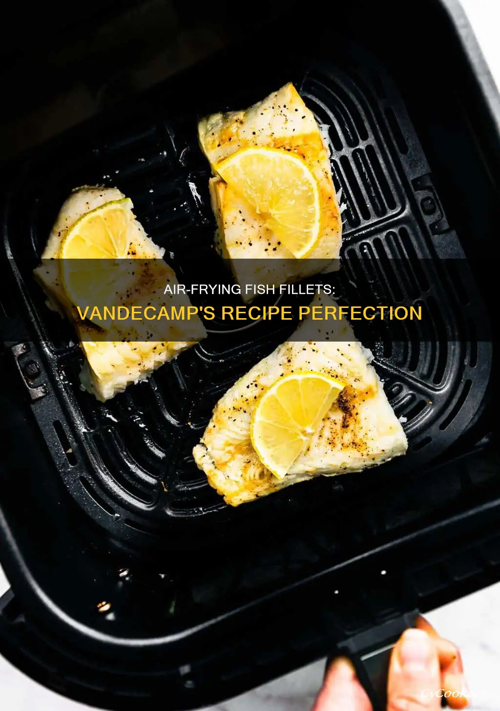 how to cook vandecamps fish fillets in air fryer