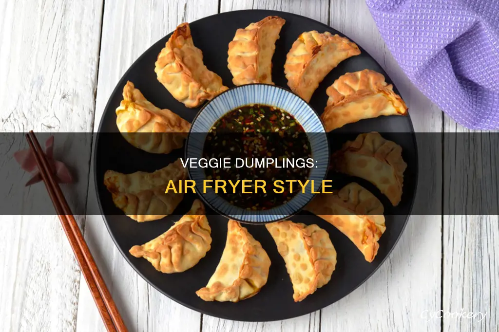 how to cook vegetable dumplings in the sir fryer