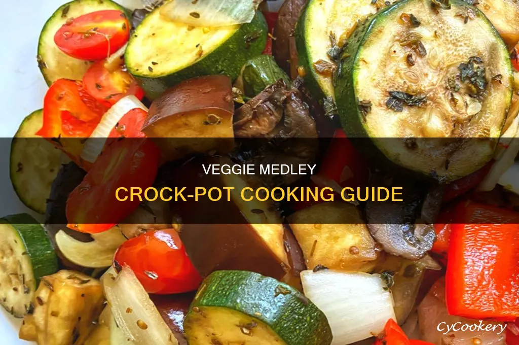 how to cook vegetable medley in crock pot