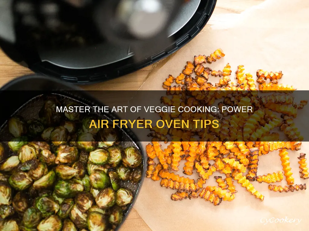 how to cook vegetables in power air fryer oven