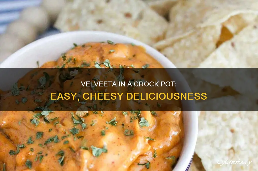 how to cook velveeta in a crock pot