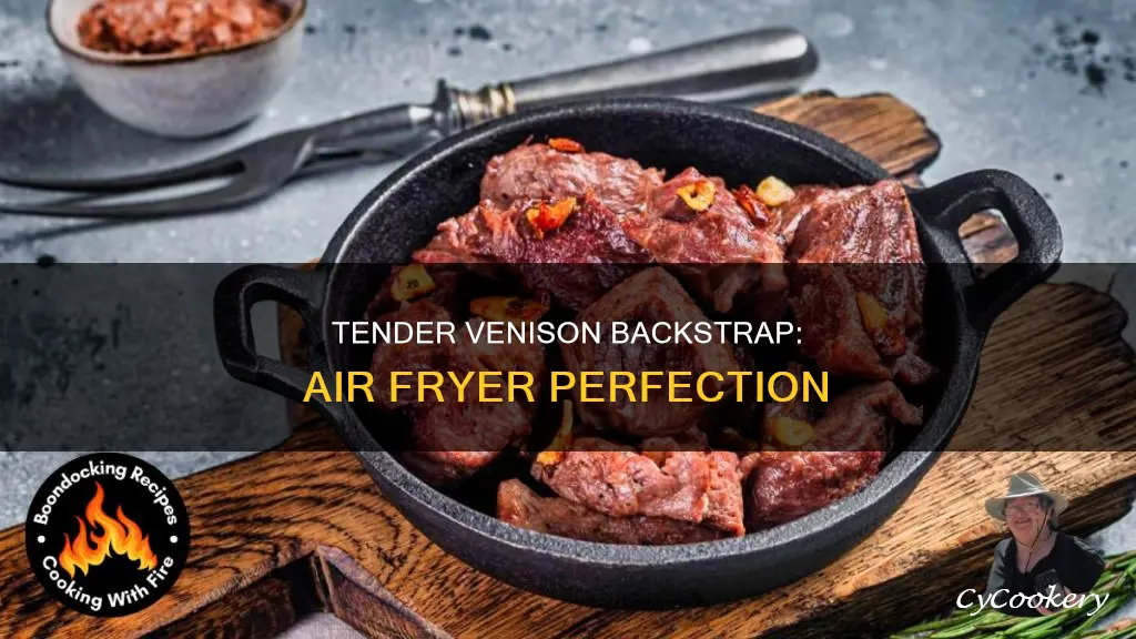 how to cook venison backstrap in air fryer