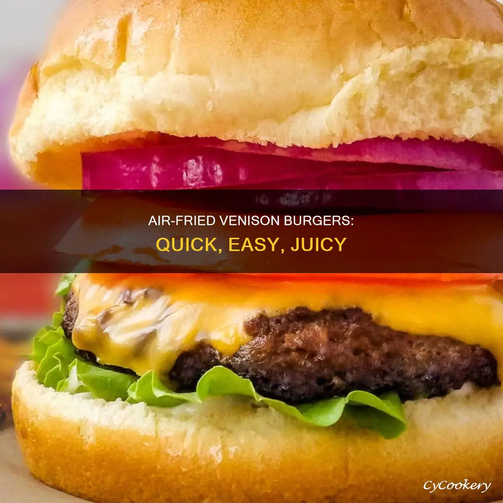 how to cook venison burgers in air fryer