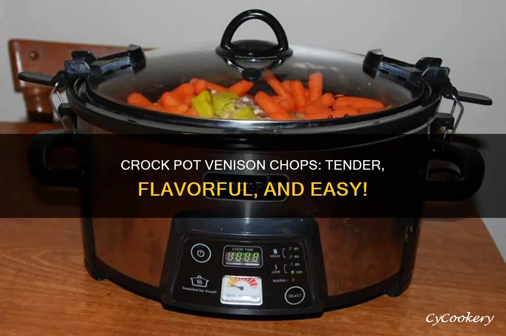 how to cook venison chops in crock pot
