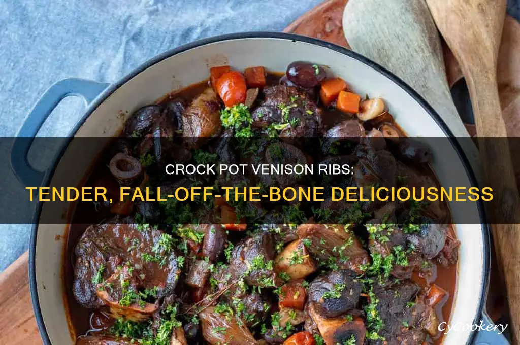 how to cook venison ribs in a crock pot