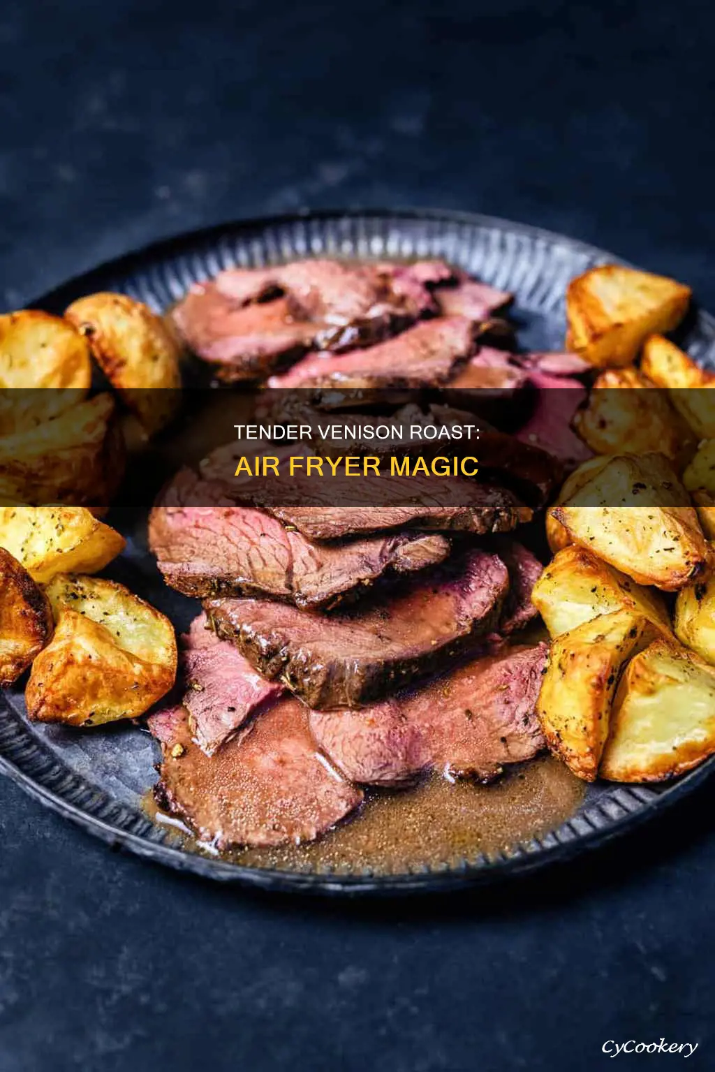 how to cook venison roast in air fryer