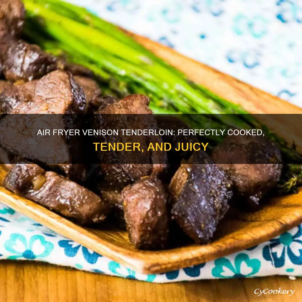 how to cook venison tenderloin in air fryer