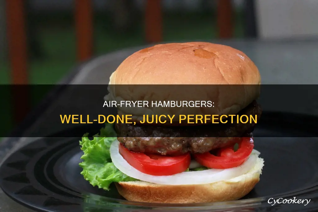 how to cook well done hamburgers in air fryer