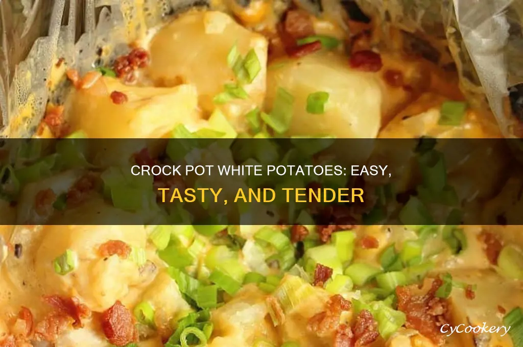 how to cook white potatoes in crock pot