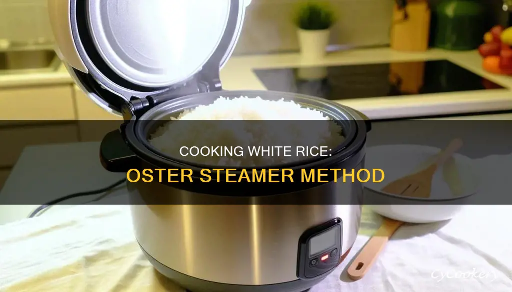 how to cook white rice in oster steamer