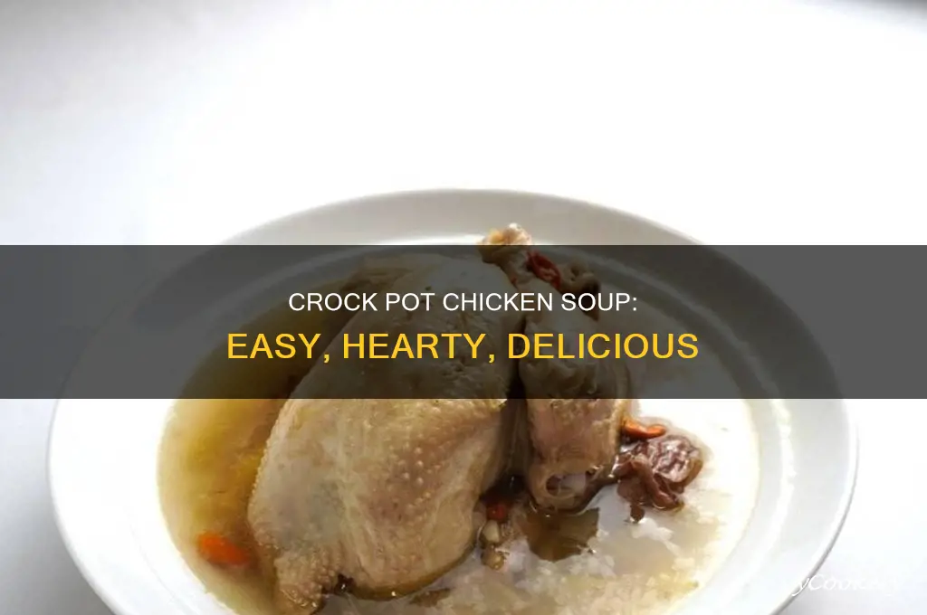 how to cook whole chicken soup in crock pot