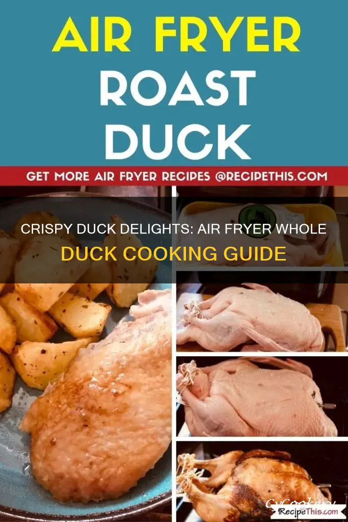 how to cook whole duck in air fryer