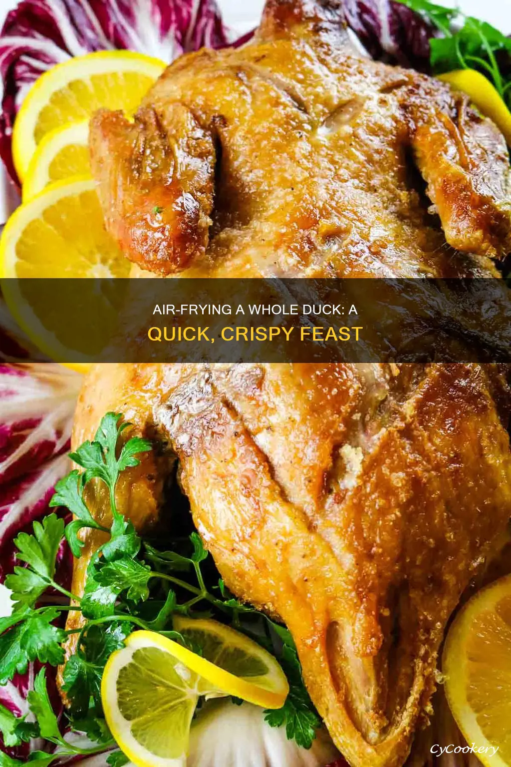 how to cook whole duck in air fryer