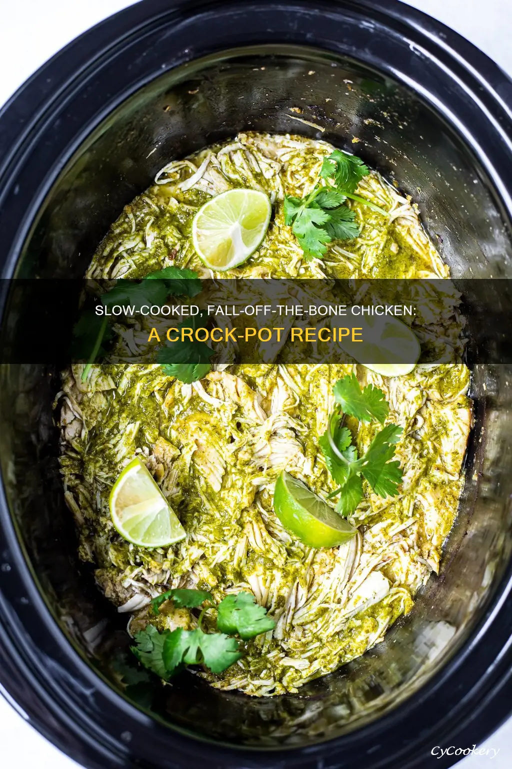 how to cook whole fryer chicken in crock pot