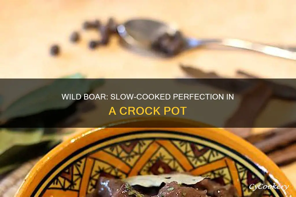 how to cook wild boar in a crock pot