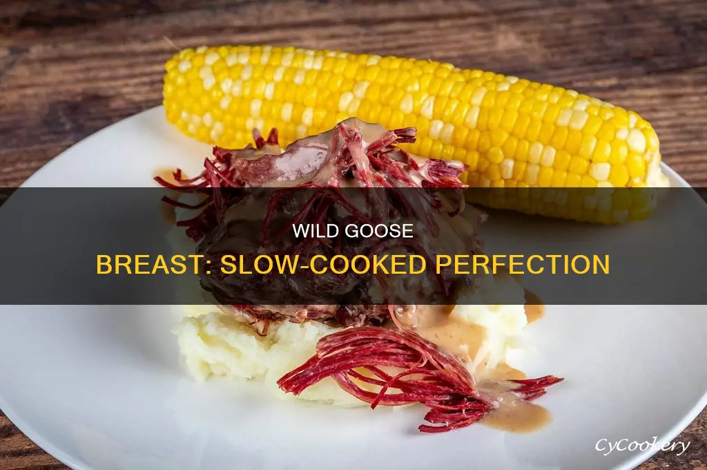 how to cook wild goose breast in crock pot