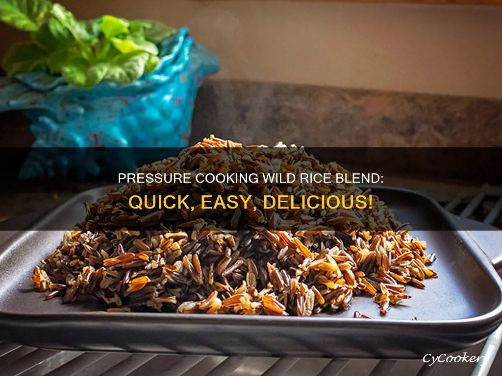 how to cook wild rice blend in a pressure cooker