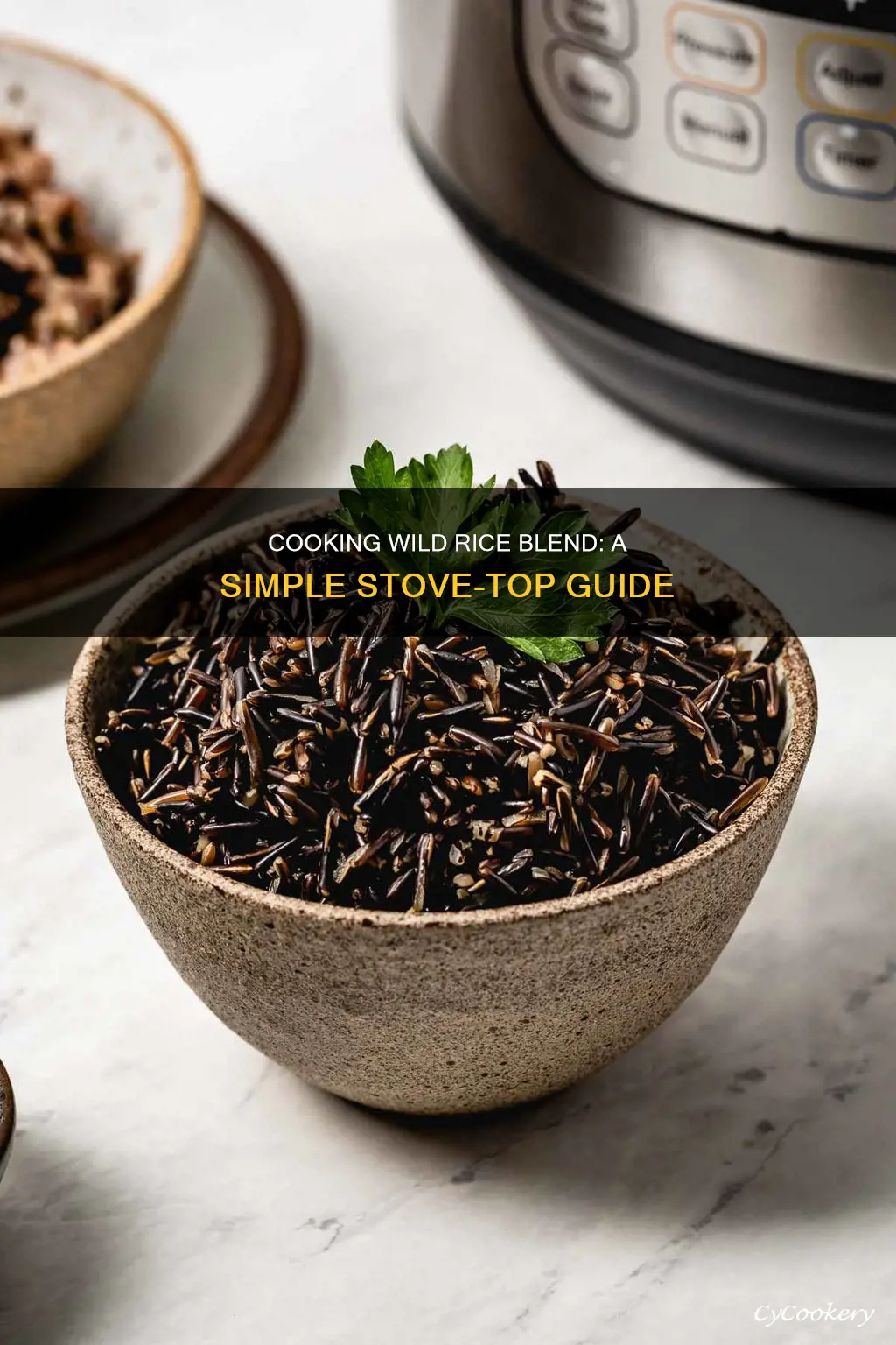 how to cook wild rice blend on stoe