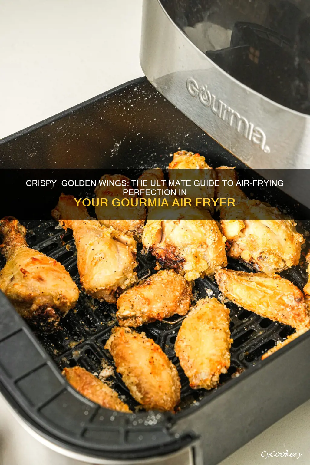 how to cook wings in gourmia air fryer