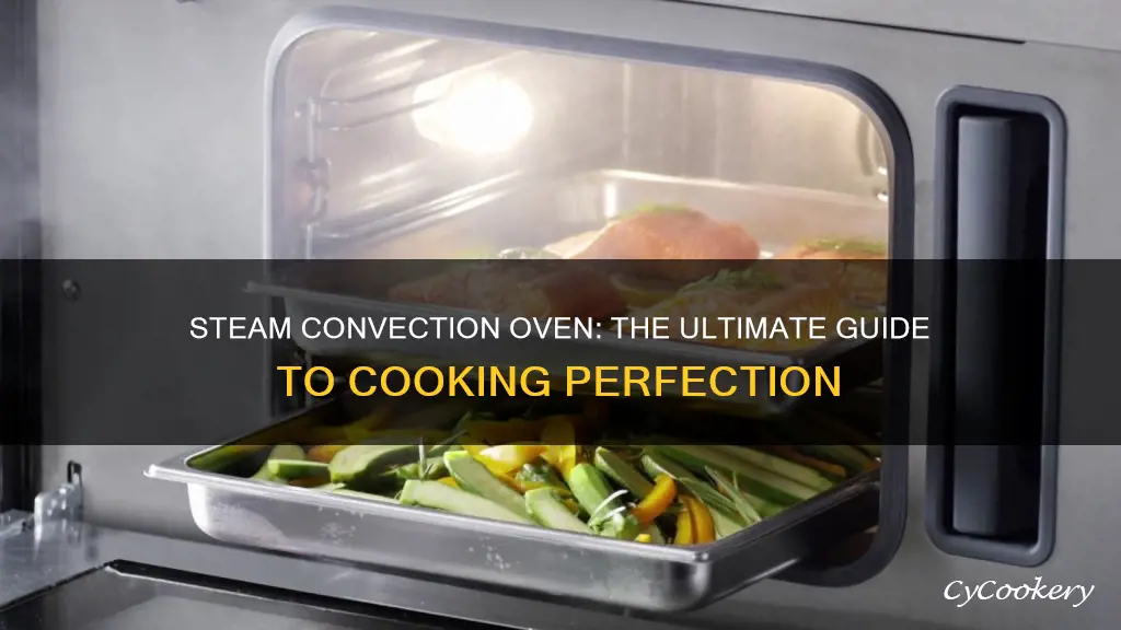 how to cook with a convection steam oven