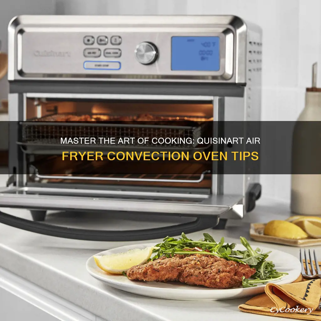 how to cook with a quisanart air fryer convection oven