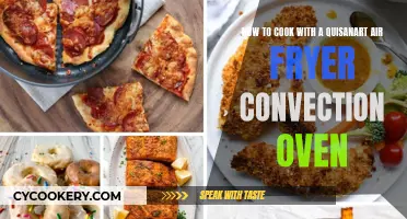 Air Fryer Magic: Cooking with the Quisanart Convection Oven