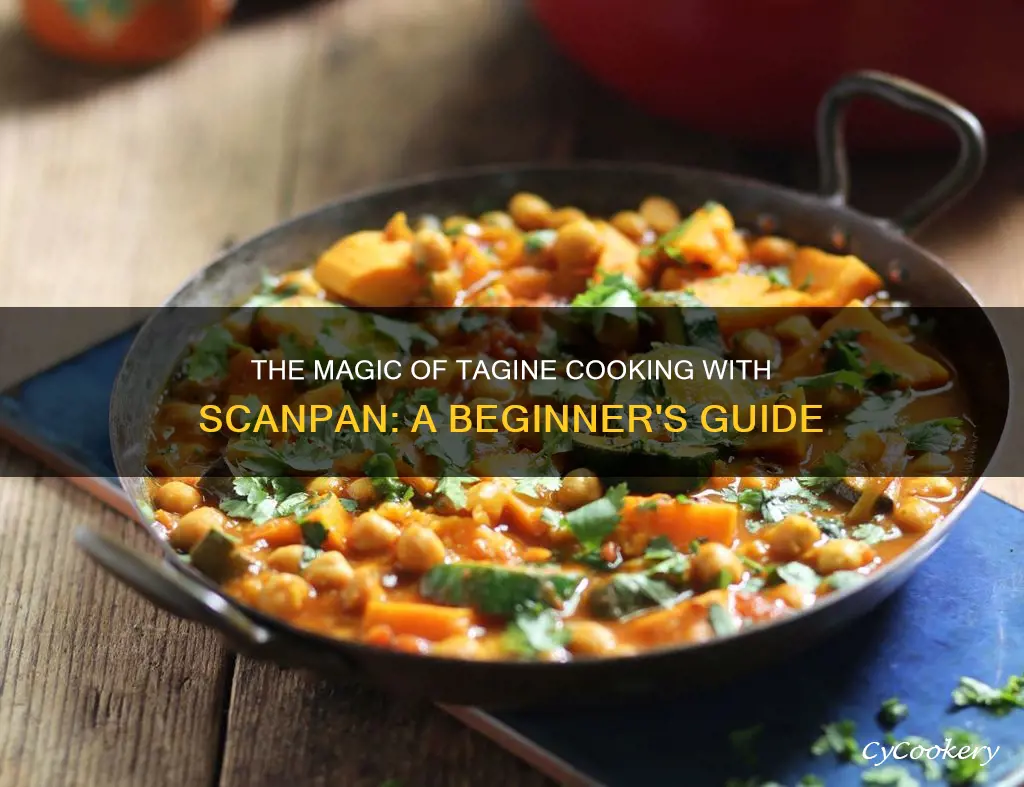 how to cook with a scanpan tagine