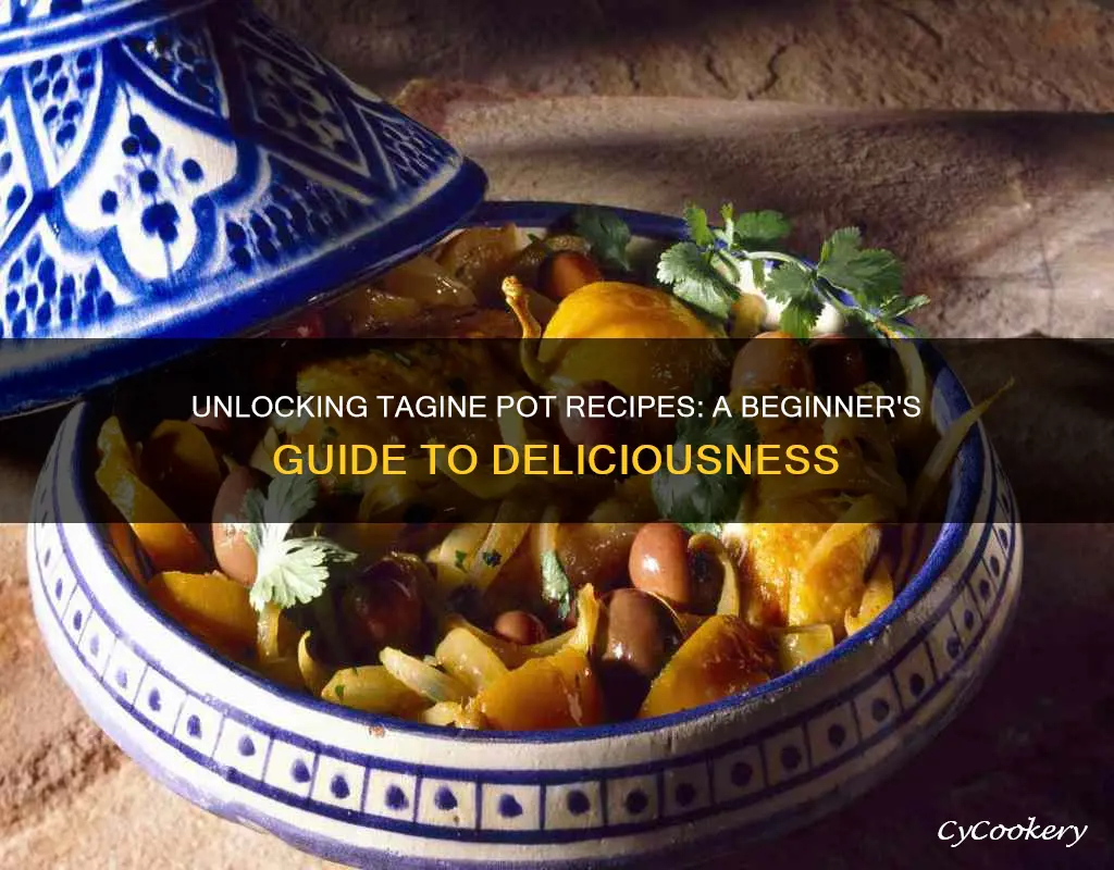 how to cook with a tagine pot recipes