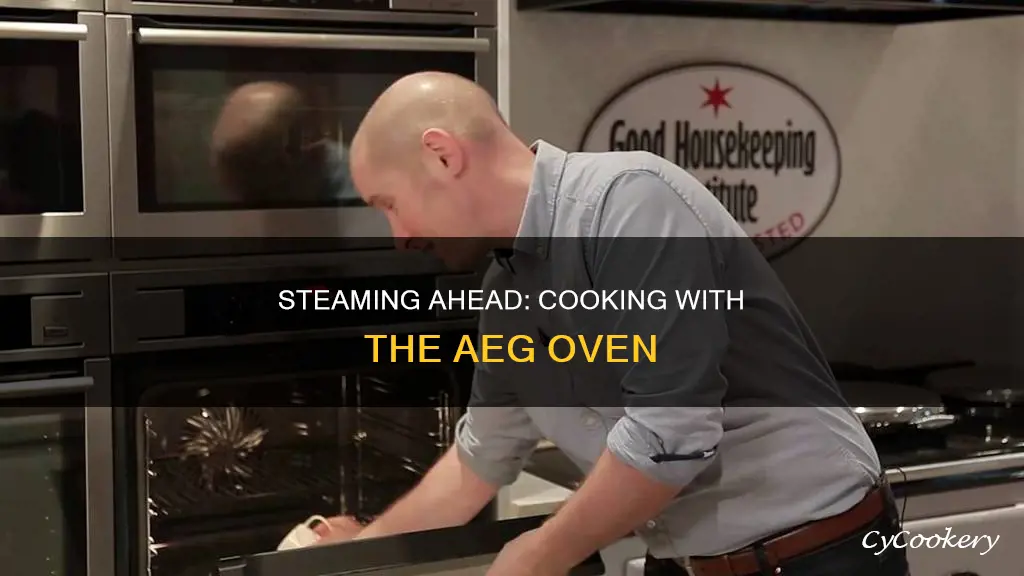 how to cook with aeg steam oven