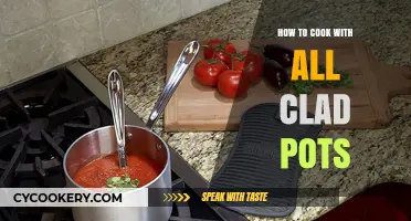 The Ultimate Guide to Cooking with All-Clad Pots