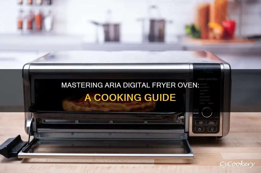 how to cook with an aria digital fryer oven