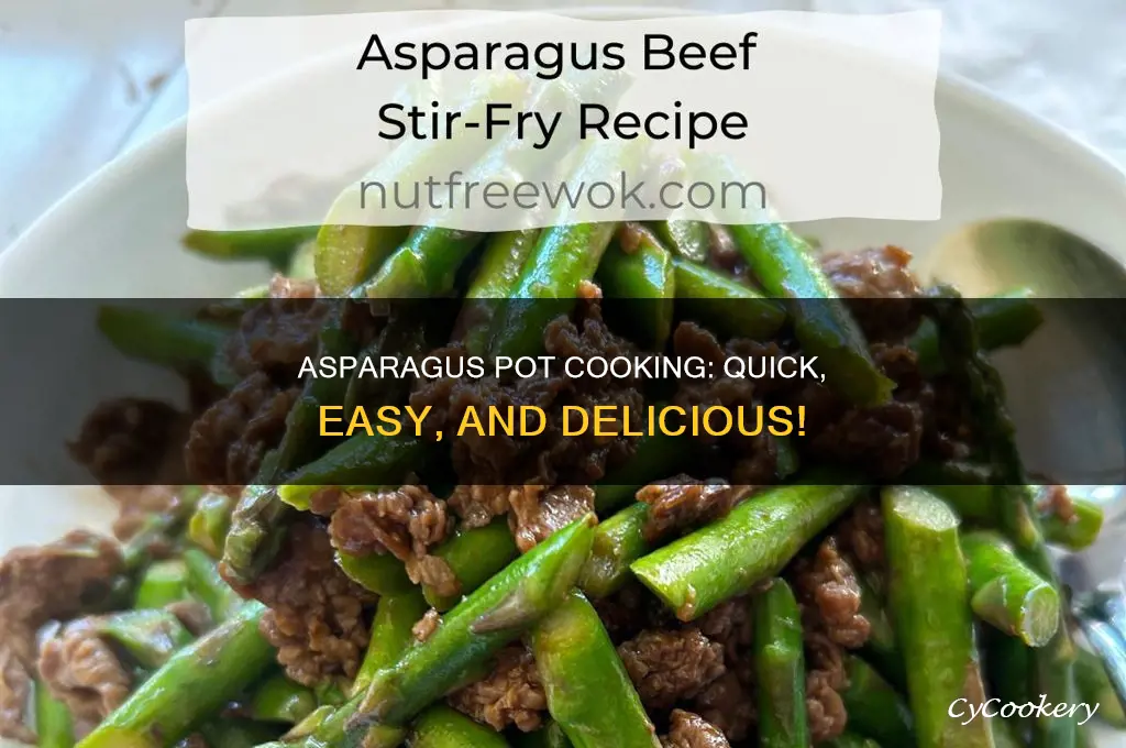 how to cook with asparagus pot
