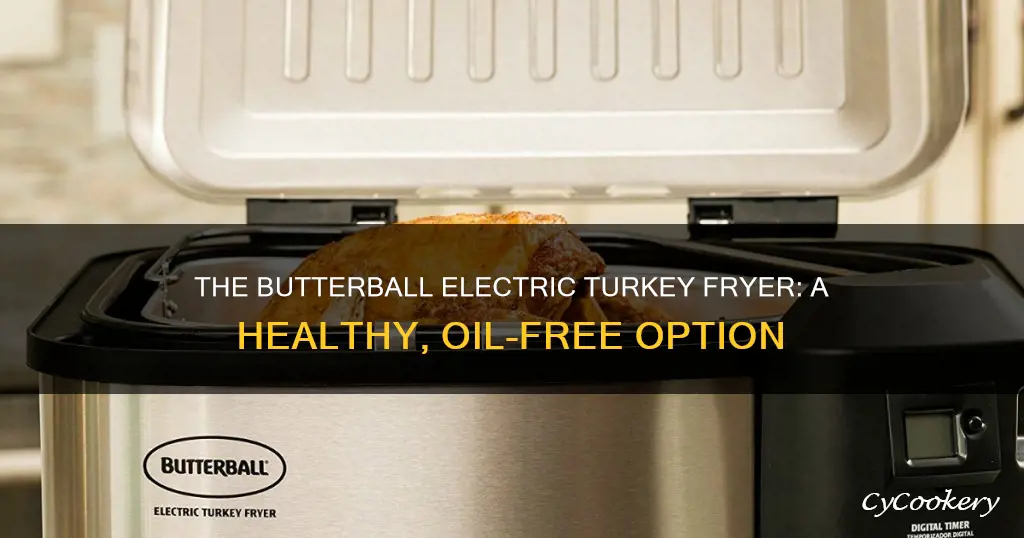 how to cook with butterball oil-free electric turkey fryer