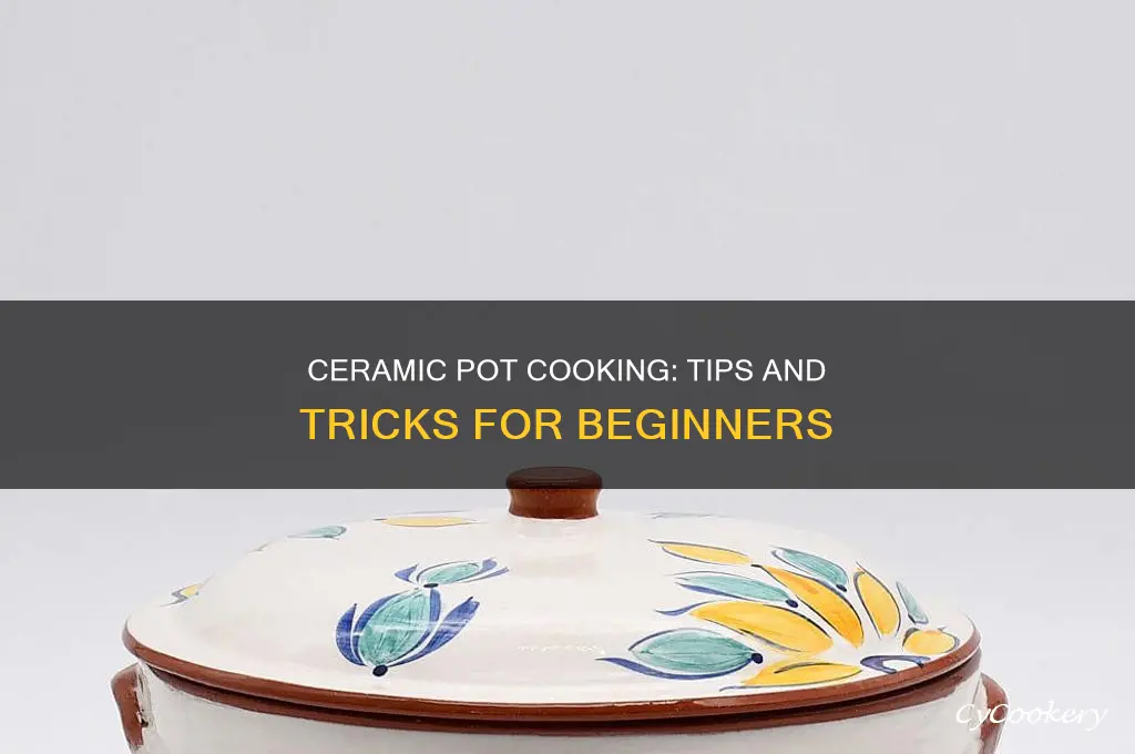 how to cook with ceramic pots