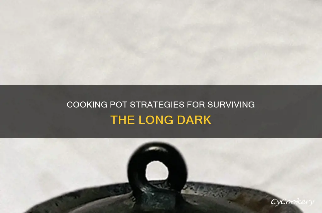 how to cook with cooking pot in the long dark