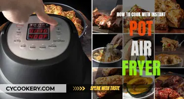 Master the Art of Cooking: Instant Pot Air Fryer Guide