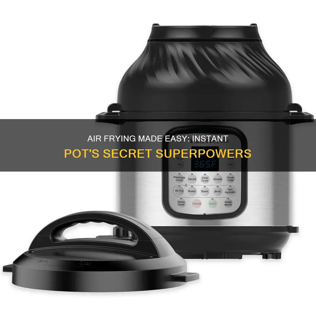 how to cook with instant pot air fryer